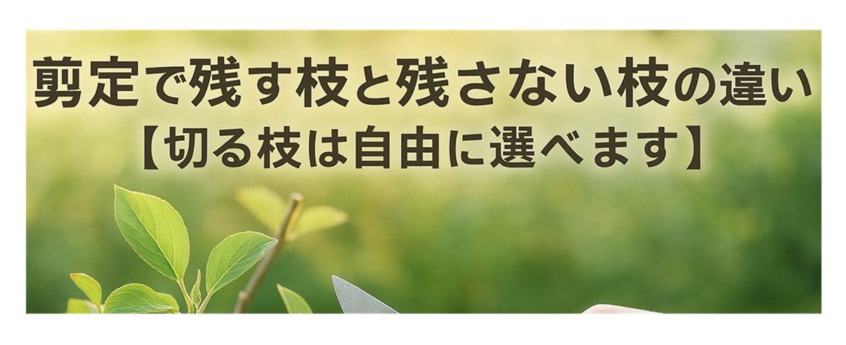 剪定・残す枝・残さない枝・アイキャッチ