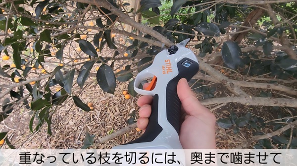 スチール電動ばさみ・枝・奥まで刃を入れる